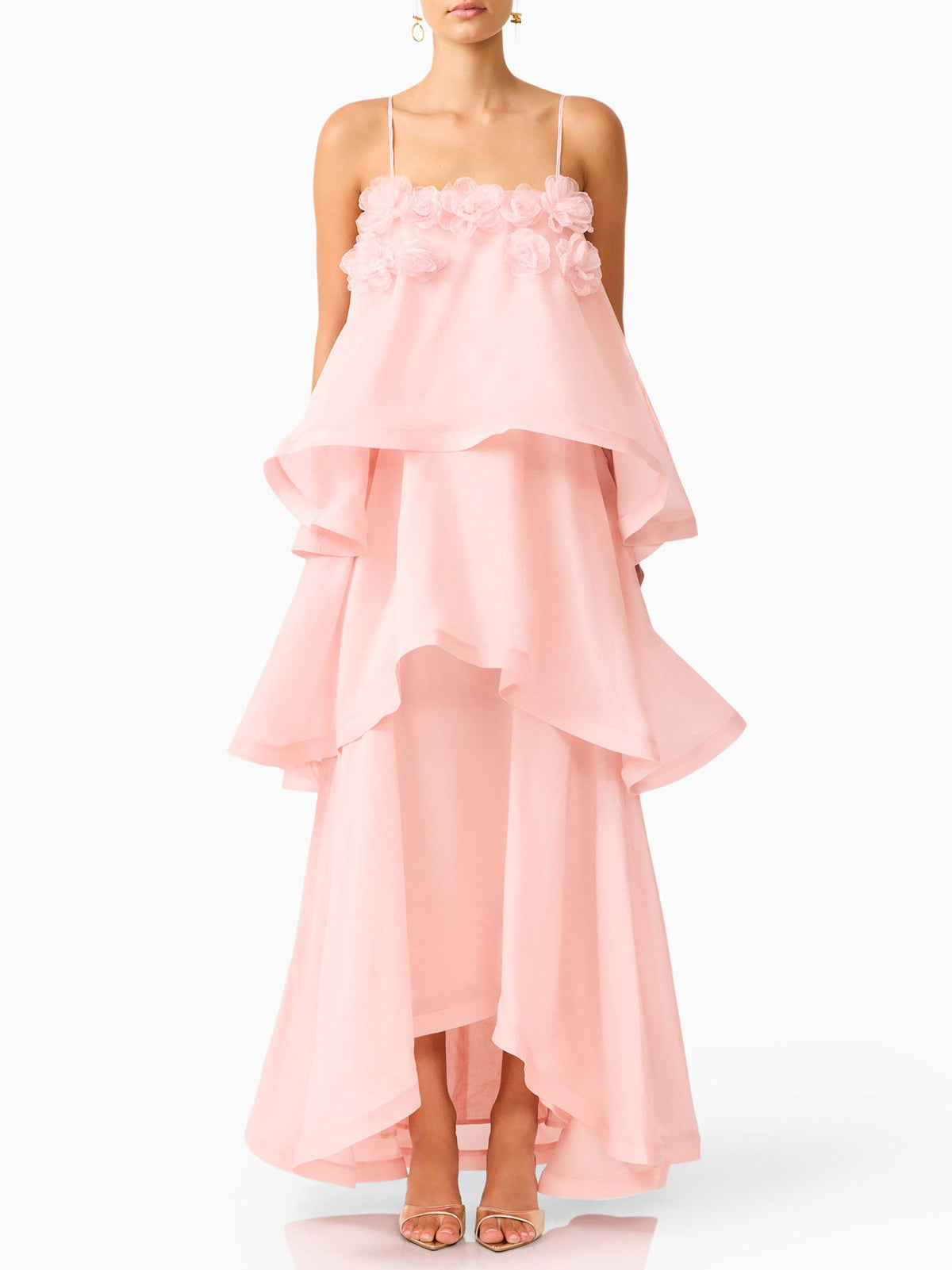 Elegant 3D Floral Applique Tiered Gown Maxi Dress